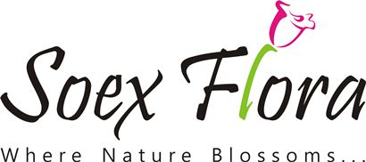 Soex Flora Device mark 2457755 Trademark