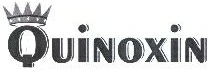 Quinoxin Device mark 1996941 Trademark