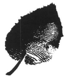 Device Device mark 2754589 Trademark