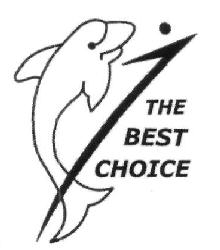 The Best Choice Device mark 2929982 Trademark
