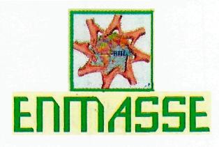 Enmasse Device mark 2363260 Trademark