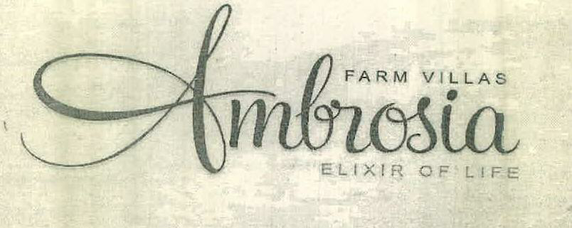 Ambrosia Device mark 2506572 Trademark