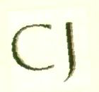 Cj Device mark 1446115 Trademark