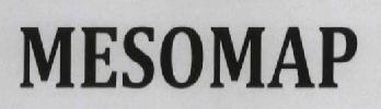 Mesomap Device mark 1720675 Trademark