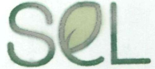 Sel Device mark 1931615 Trademark