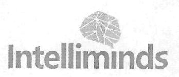 Intelliminds Device mark 2905929 Trademark
