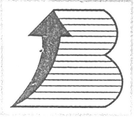B Device mark 1605007 Trademark