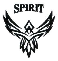 Spirit Device mark 1901045 Trademark