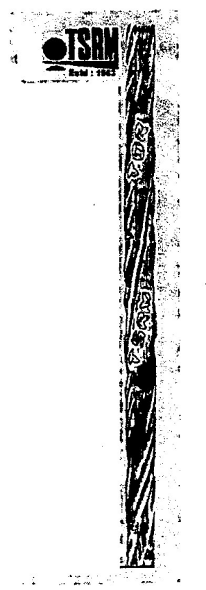 Tsrm Device mark 1105997 Trademark