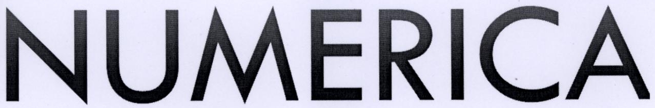 Numerica Device mark 2199313 Trademark