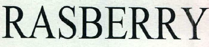 Rasberry Device mark 2406551 Trademark