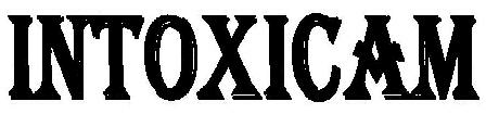 Intoxicam Device mark 1807425 Trademark