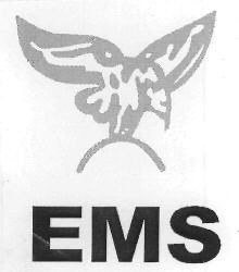 Ems Device mark 2939453 Trademark