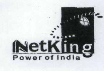 Netking Device mark 1833091 Trademark