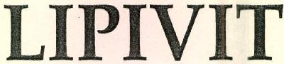 Lipivit Device mark 2552203 Trademark