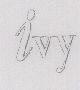 Ivy (double Outline) Device mark 876624 Trademark