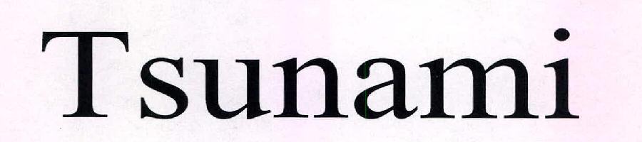 Tsunami Device mark 2292648 Trademark