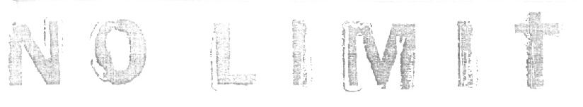 No Limit (label) Device mark 1587724 Trademark
