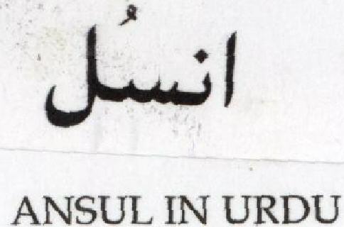 Ansul In Urdu Device mark 1541152 Trademark