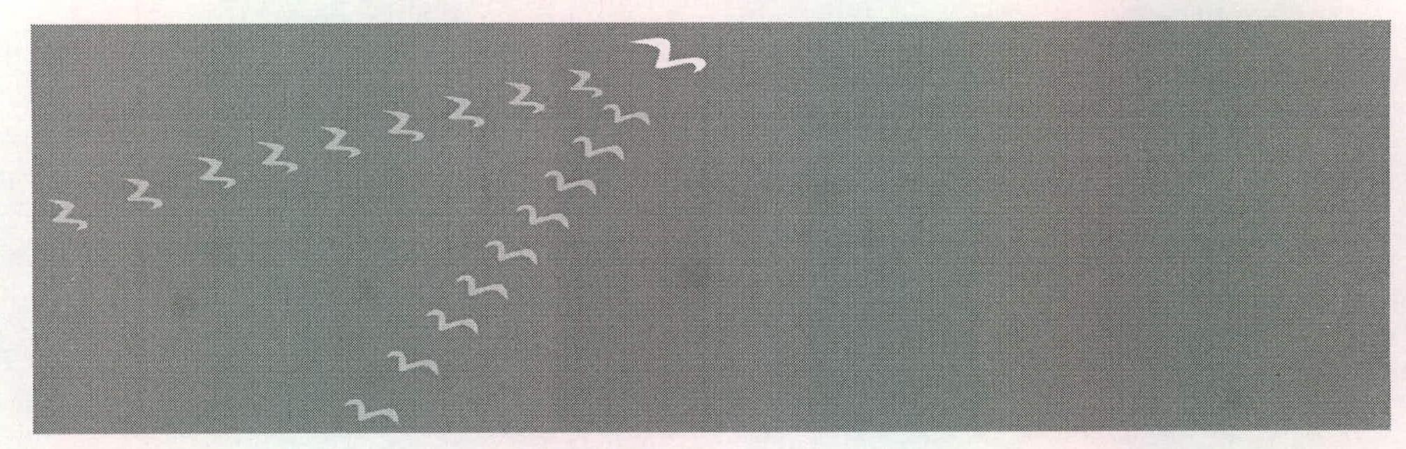 Device Of Birds Device mark 2233875 Trademark