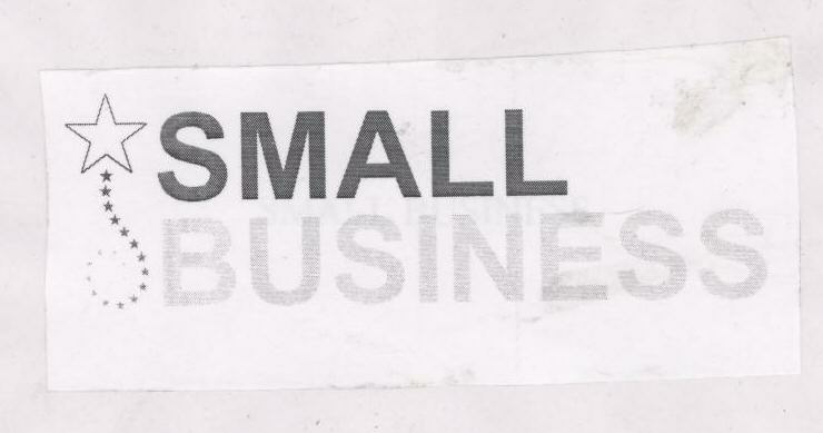 Small Business With Device Of Star Device mark 1625004 Trademark