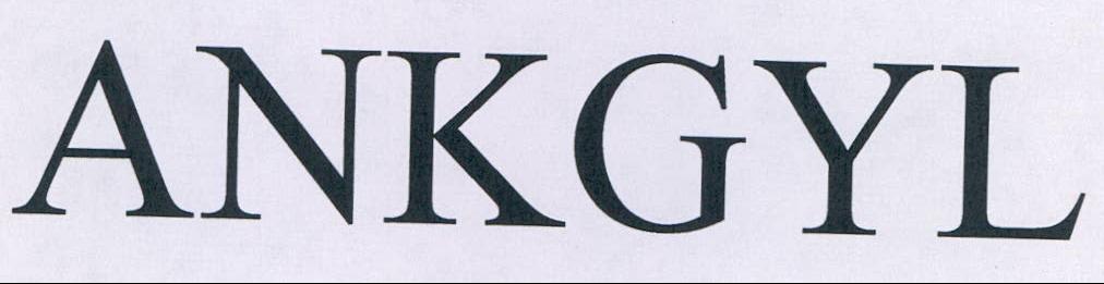 Ankgyl Device mark 2124043 Trademark