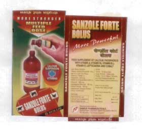 Sanzole Forte Bolus Device mark 1004491 Trademark