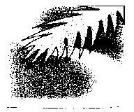 Device Of Leaf Device mark 819770 Trademark