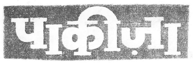 Pakiza (device) Device mark 1669483 Trademark