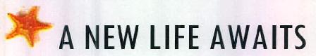 A New Life Awaits Device mark 2531089 Trademark