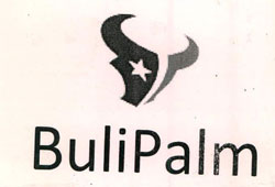 Bulipalm With Device Of Star Device mark 2500820 Trademark