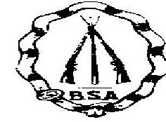 B.s.a. Device mark 206974 Trademark