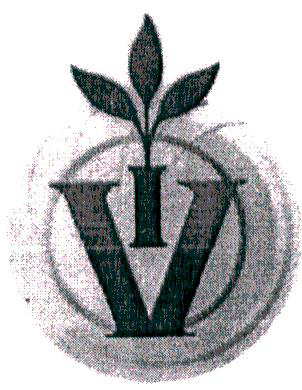 Letter V I Device mark 1917875 Trademark