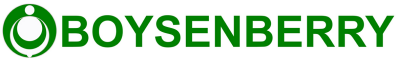 Boysenberry Device mark 2292053 Trademark