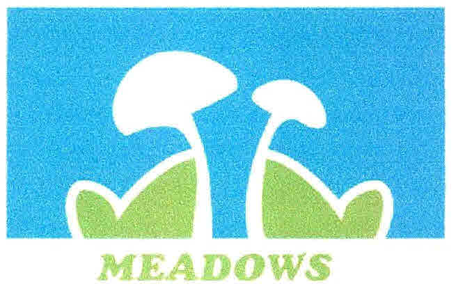 Meadows Device mark 2672101 Trademark