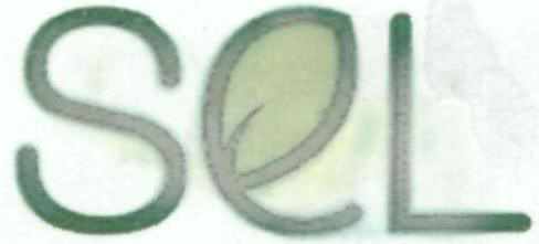 Sel Device mark 1931570 Trademark