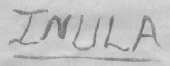 Inula (letter Written In Underlined) Device mark 1499450 Trademark
