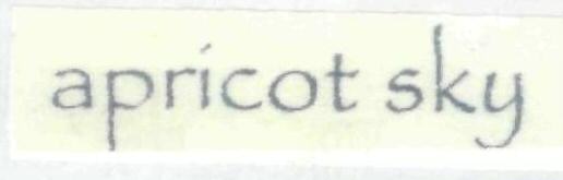 Apricot Sky Device mark 1850445 Trademark