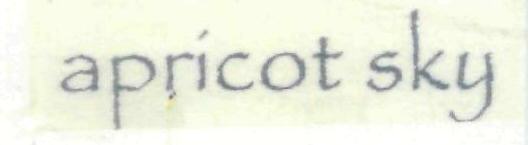 Apricot Sky Device mark 1850444 Trademark