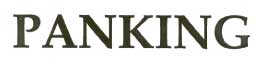 Panking Device mark 1910950 Trademark