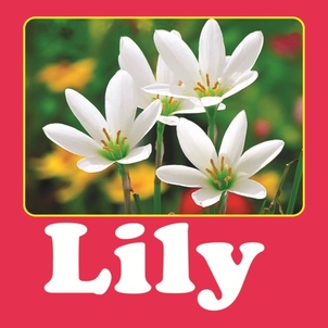 Lily Device mark 2844665 Trademark