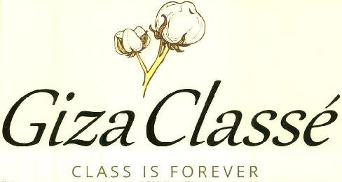 Giza Classe Class Is Forever Device mark 2979221 Trademark