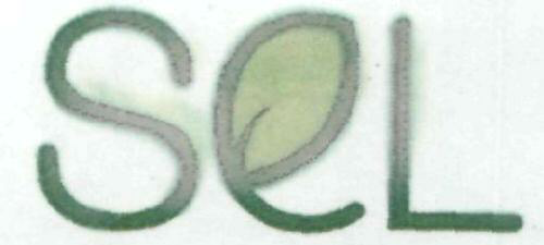 Sel Device mark 1931613 Trademark