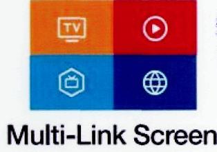 Multi-link Screen, Device Of Television Set, Circle Containing A Triangle, Polygon Containing Television Set, Globe Device mark 2663230 Trademark