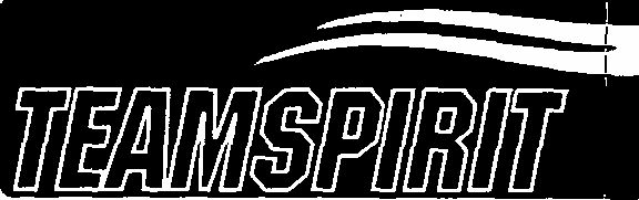 Teamspirit (device Of Double Outline) Device mark 1530861 Trademark