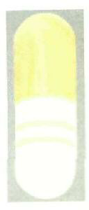 Label Device mark 2557333 Trademark