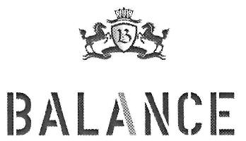Balance Device mark 2899550 Trademark