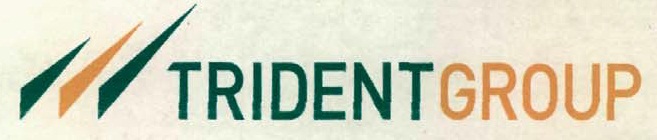 Trident Group Device mark 2728357 Trademark