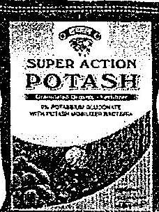 Super Action (with Device) Device mark 1983667 Trademark