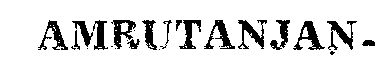 Amrutanjan (device) Device mark 8906 Trademark